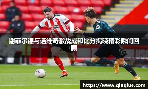 谢菲尔德与诺维奇激战成和比分揭晓精彩瞬间回顾